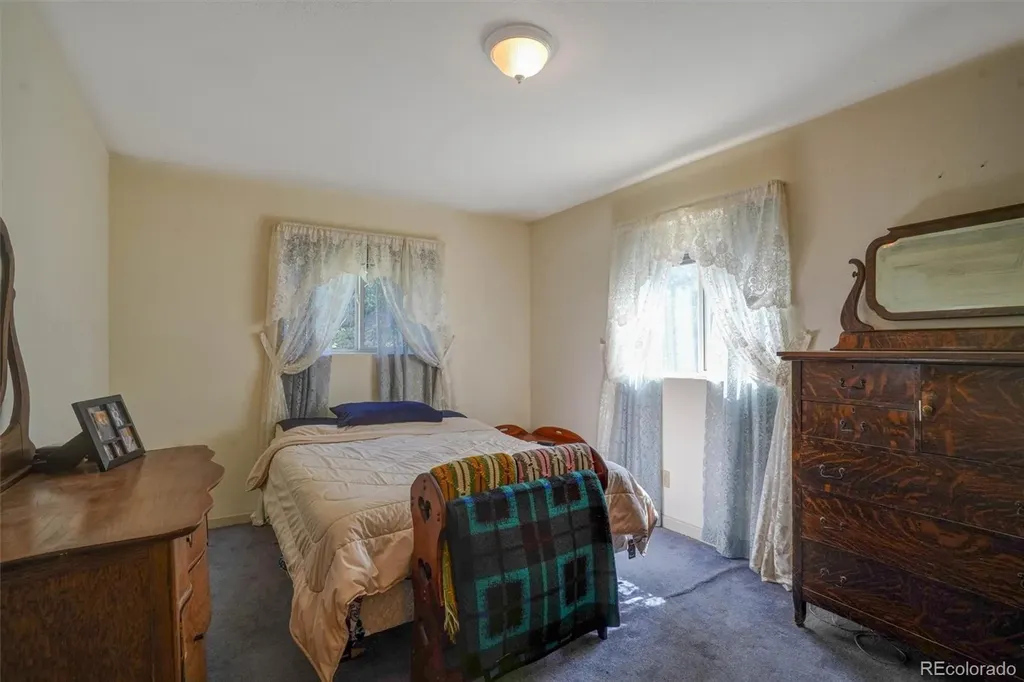 1206 Biddle Street Georgetown CO 80444