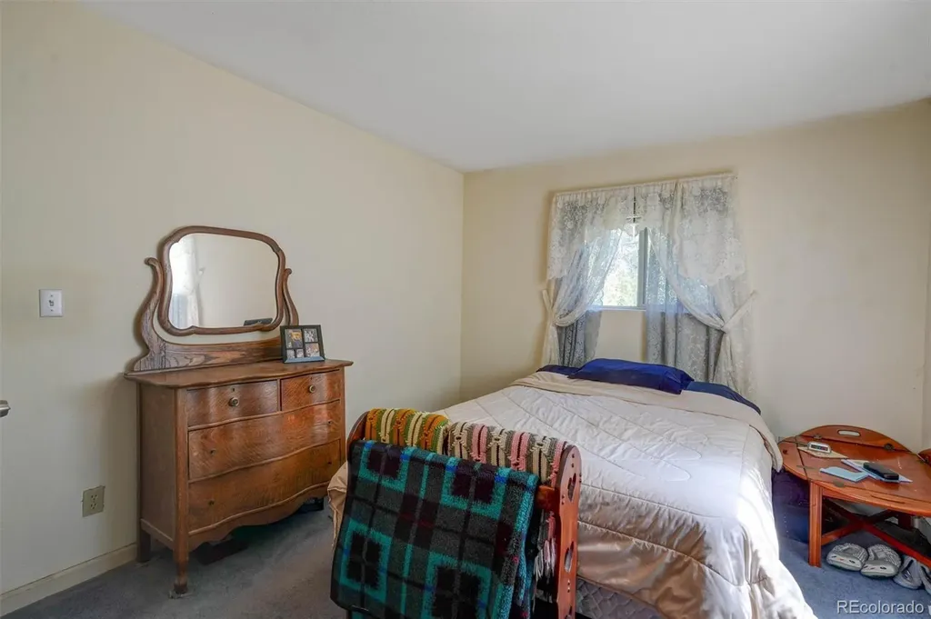 1206 Biddle Street Georgetown CO 80444