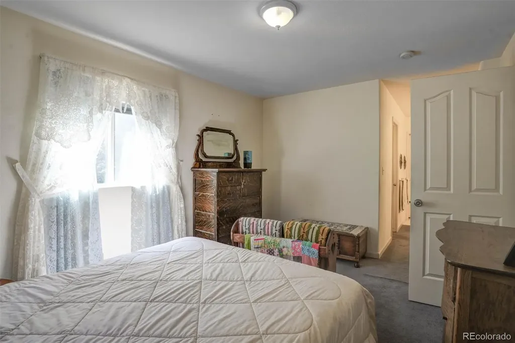 1206 Biddle Street Georgetown CO 80444