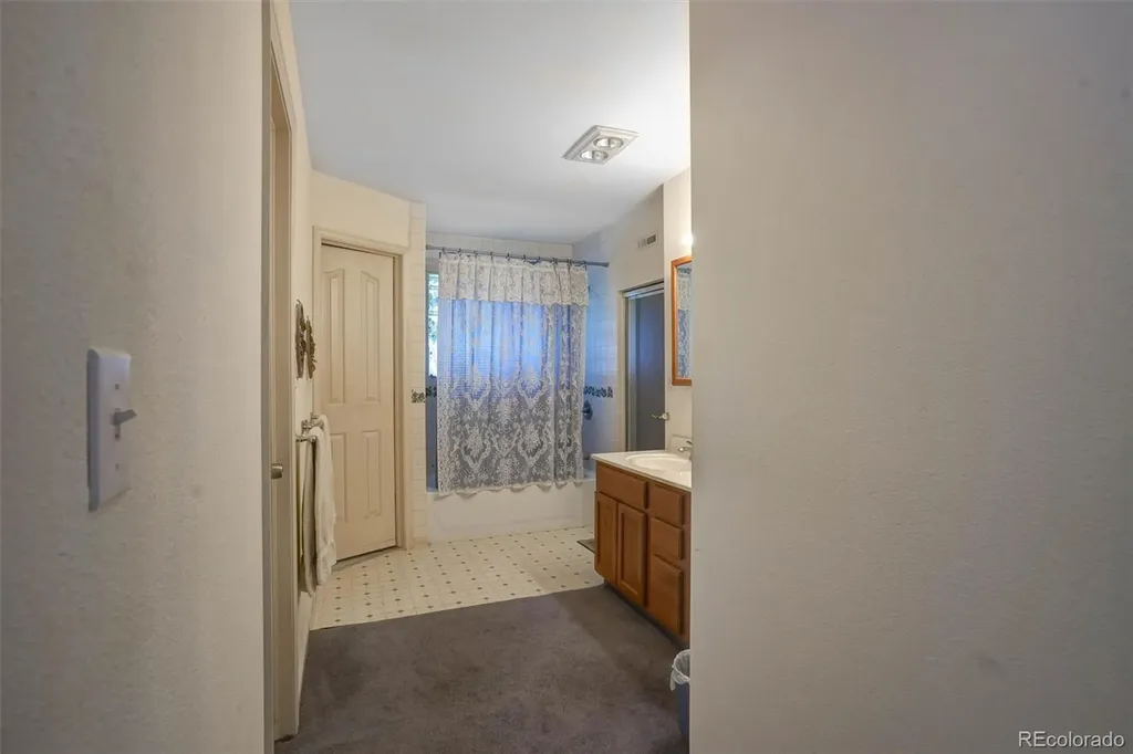1206 Biddle Street Georgetown CO 80444