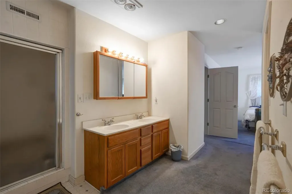 1206 Biddle Street Georgetown CO 80444