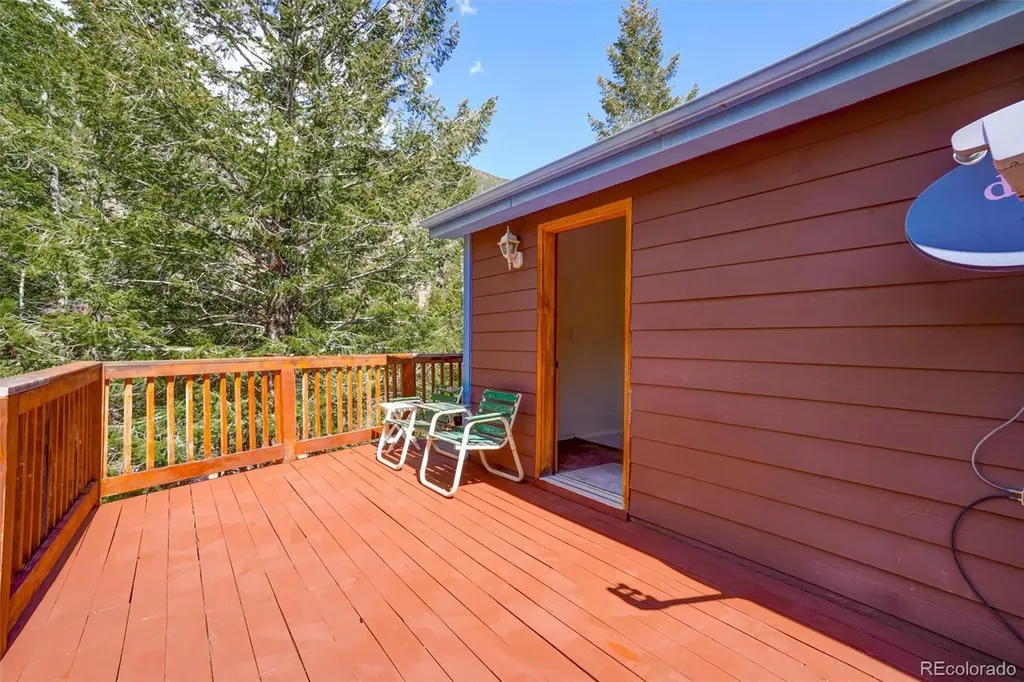 1206 Biddle Street Georgetown CO 80444