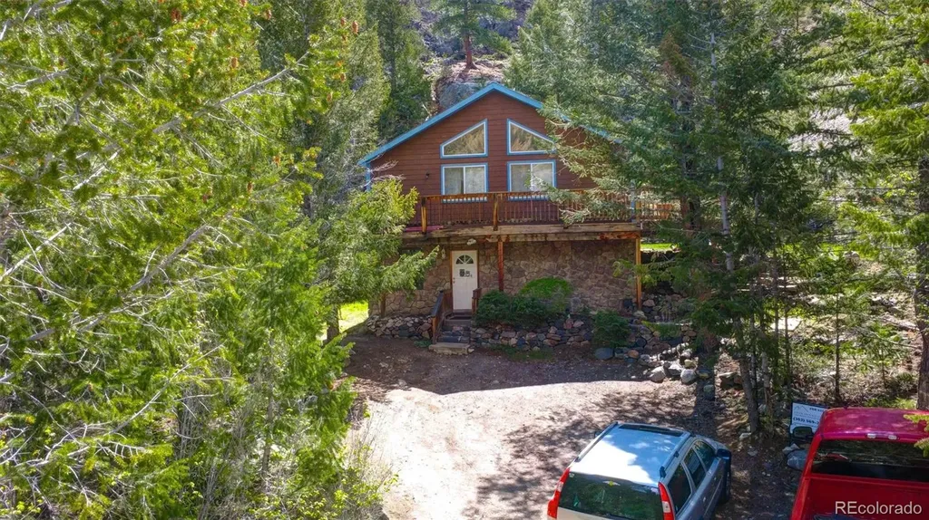 1206 Biddle Street Georgetown CO 80444