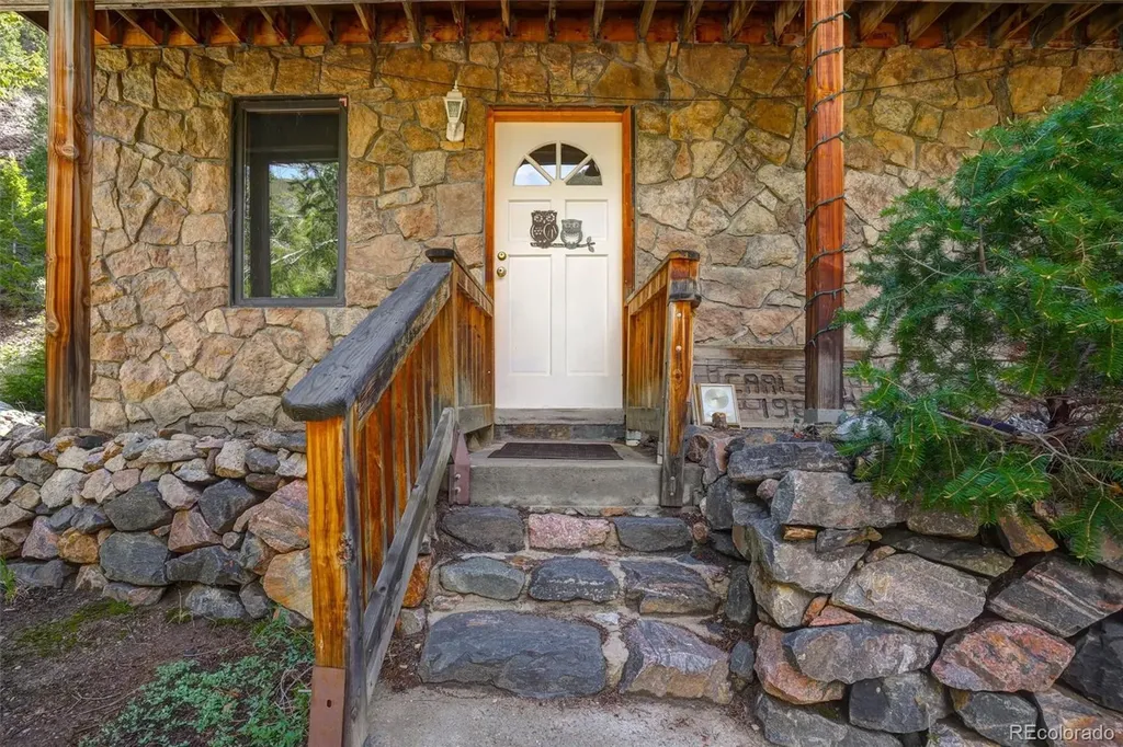 1206 Biddle Street Georgetown CO 80444