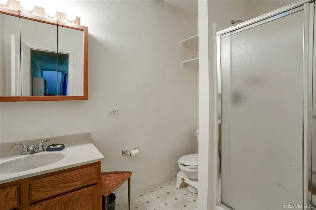 1206 Biddle Street Georgetown CO 80444