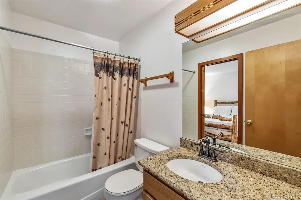 132 Burgundy Circle Silverthorne CO 80498