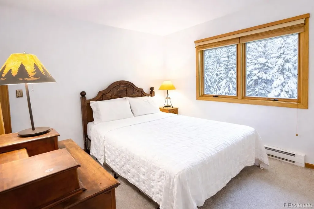 132 Burgundy Circle Silverthorne CO 80498