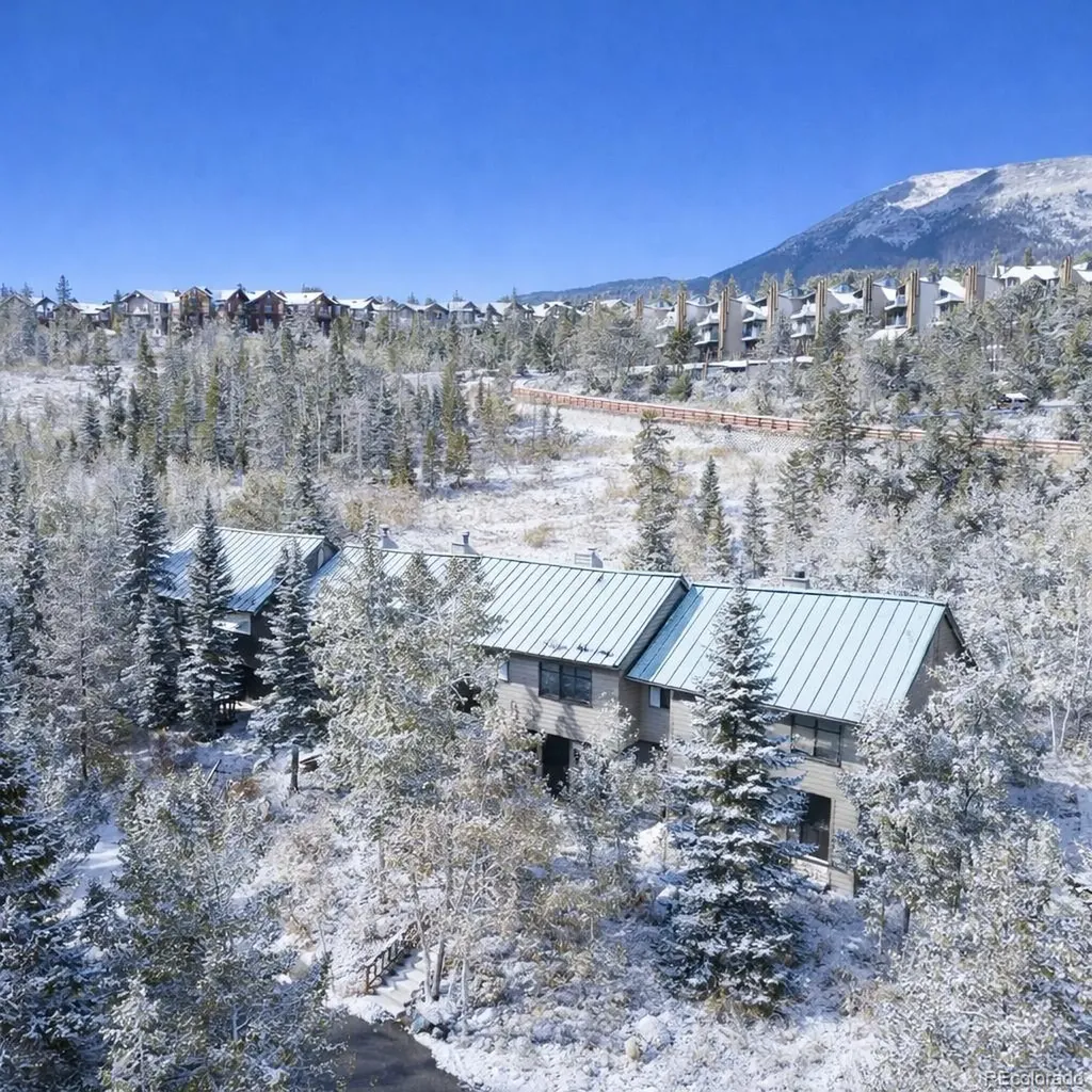 132 Burgundy Circle Silverthorne CO 80498