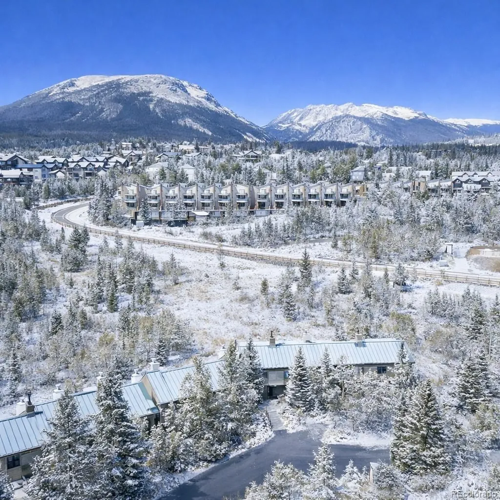 132 Burgundy Circle Silverthorne CO 80498