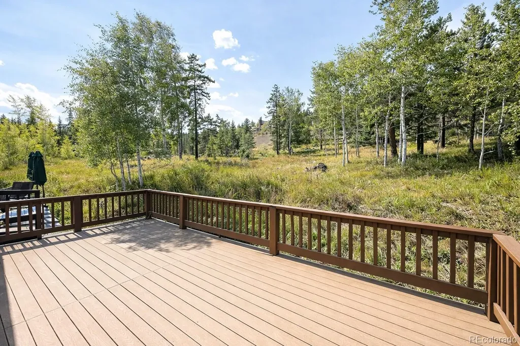 132 Burgundy Circle Silverthorne CO 80498