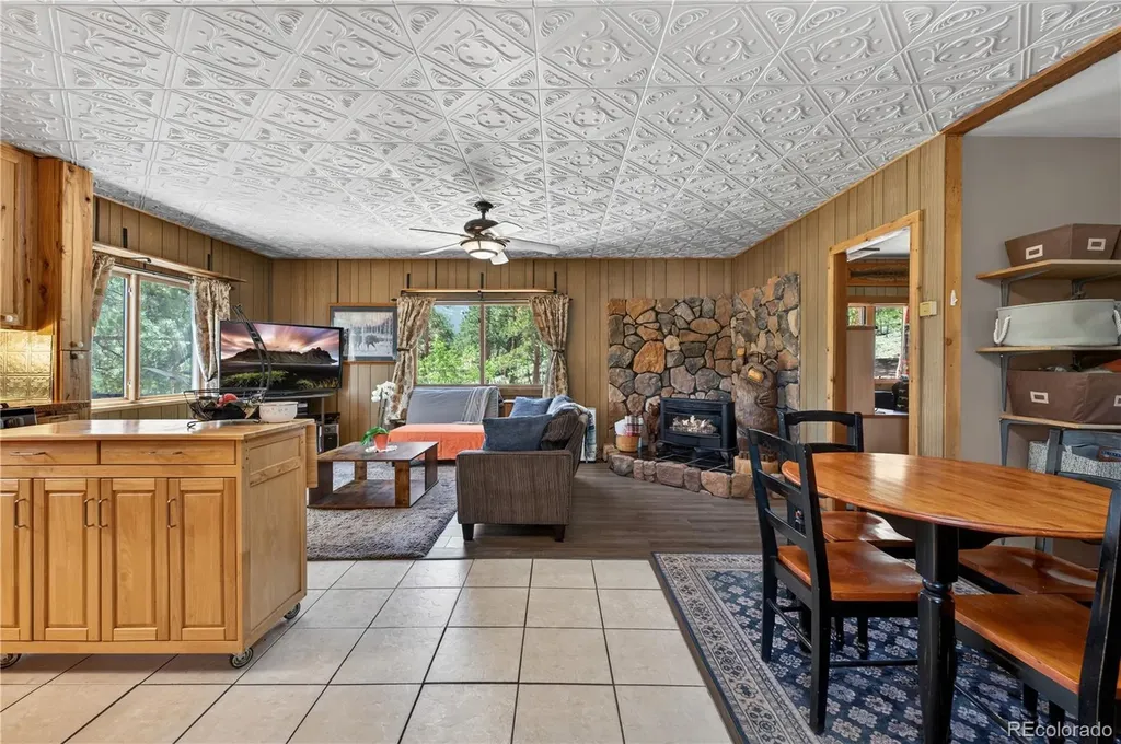 256 Houston Street Bailey CO 80421