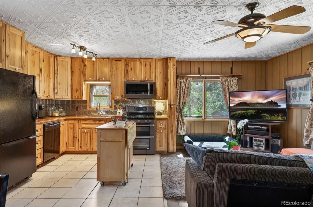256 Houston Street Bailey CO 80421