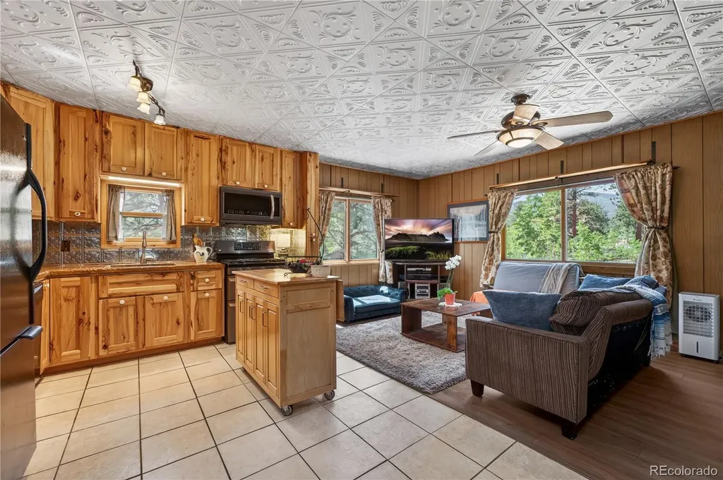 256 Houston Street Bailey CO 80421