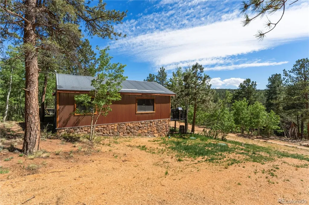 256 Houston Street Bailey CO 80421