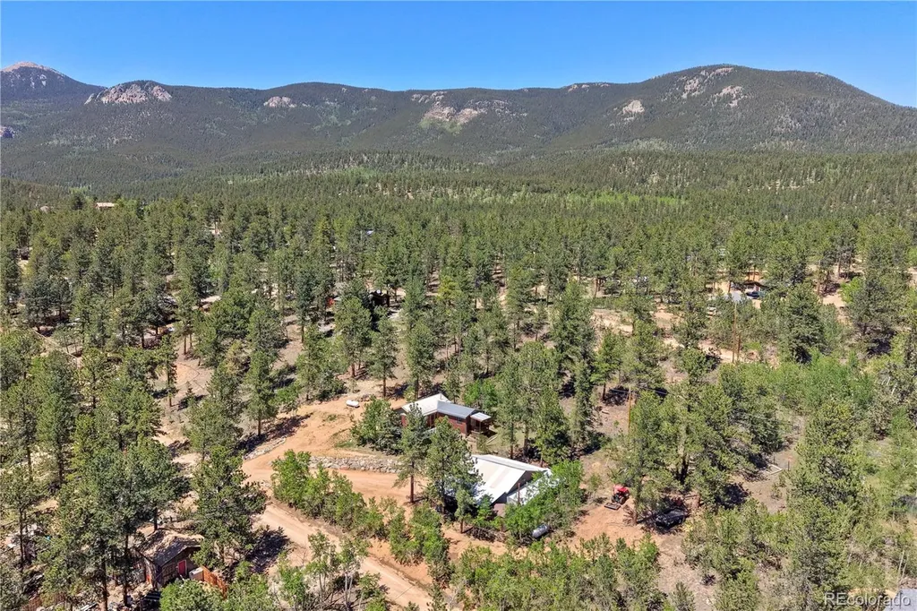 256 Houston Street Bailey CO 80421