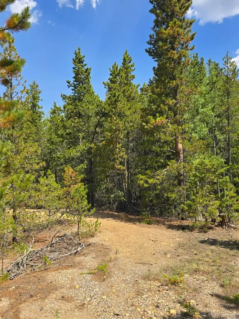 000 Virginia Canyon Road Central City CO 80427