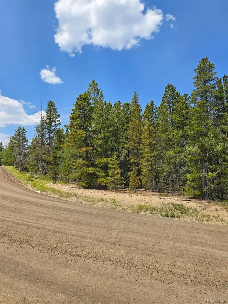 000 Virginia Canyon Road Central City CO 80427