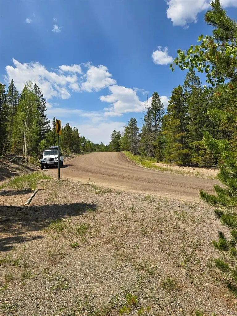 000 Virginia Canyon Road Central City CO 80427