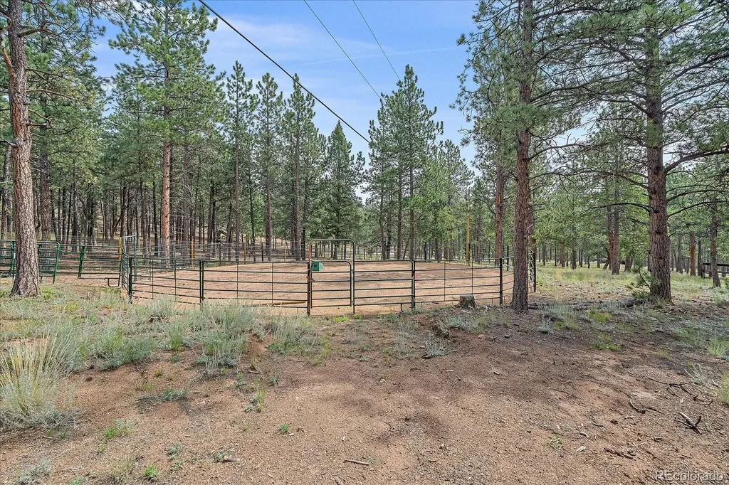 104 Six Bits Street Bailey CO 80421