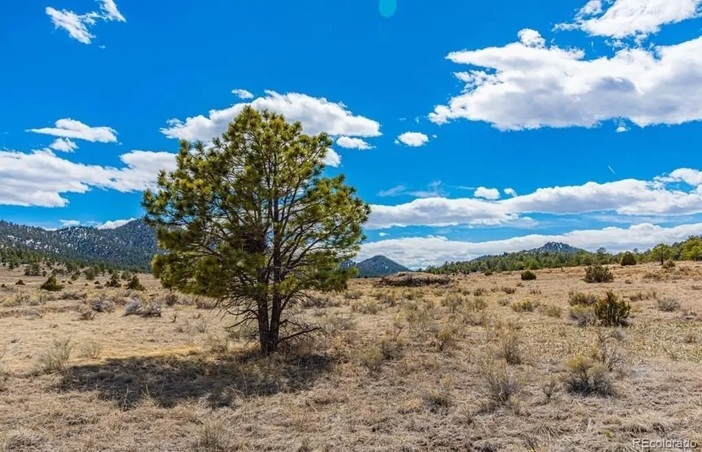Lot 36 Marcey Road Westcliffe CO 81252