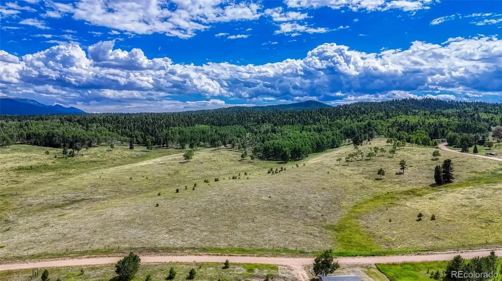 1129 Will Scarlet Drive Divide CO 80814
