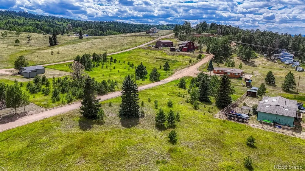 1129 Will Scarlet Drive Divide CO 80814