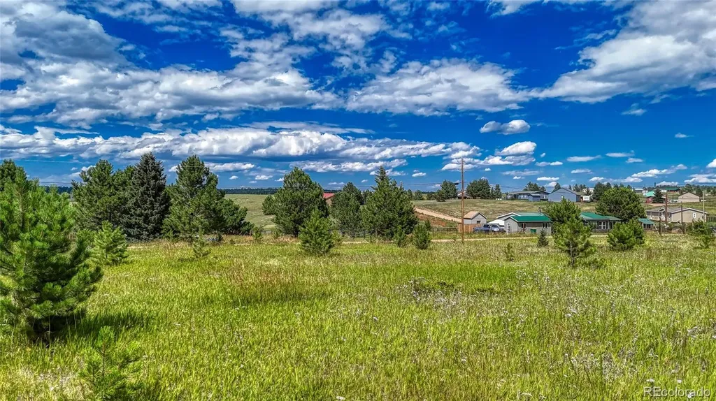 1129 Will Scarlet Drive Divide CO 80814