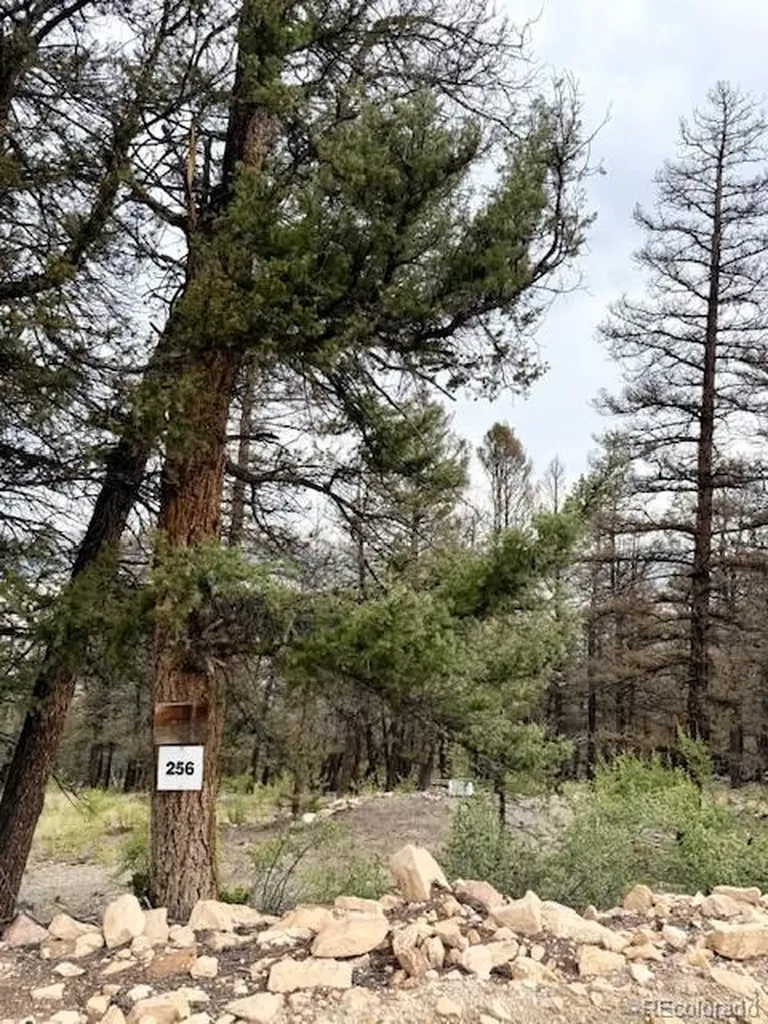 0 Middle Fork Vista Fairplay CO 80440