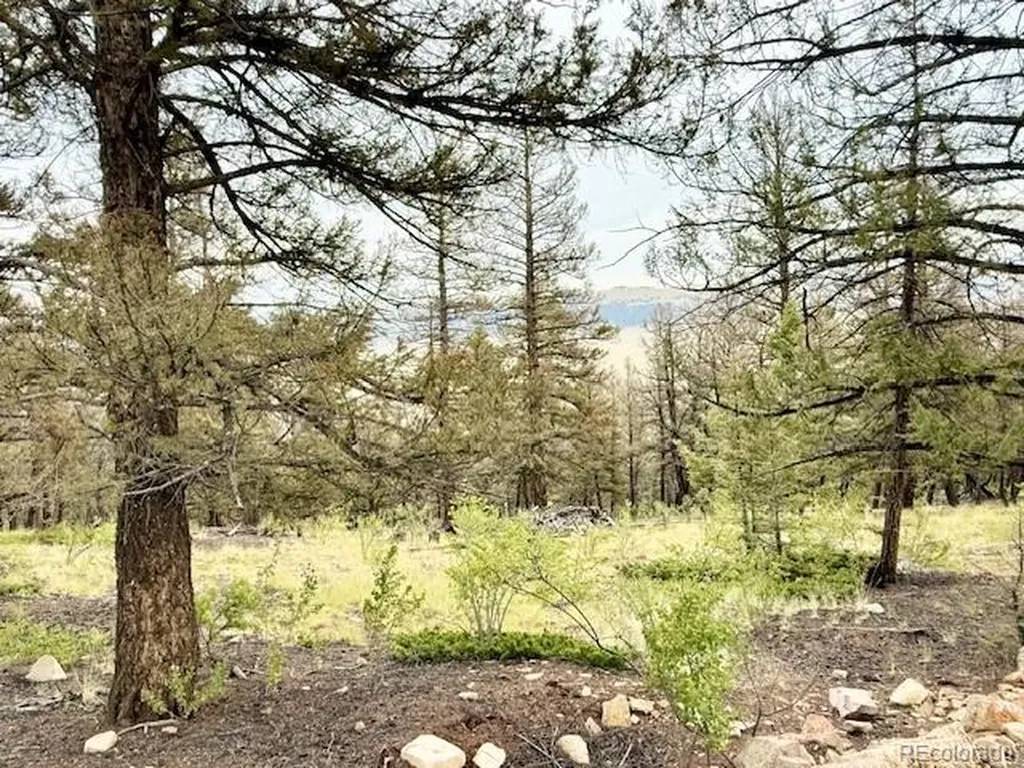 0 Middle Fork Vista Fairplay CO 80440
