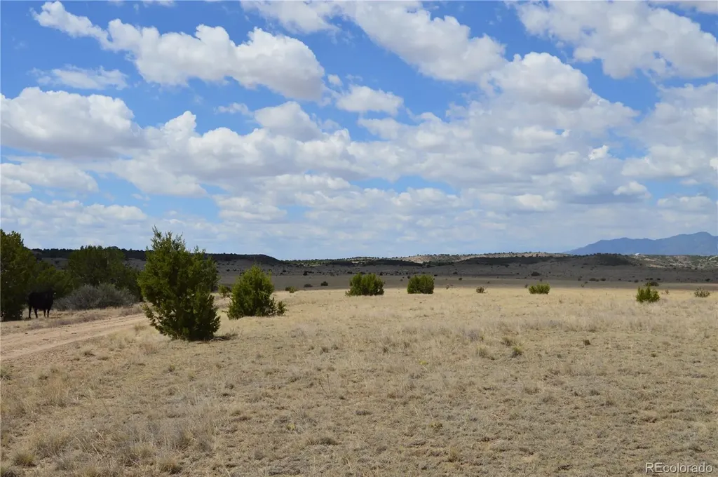 000 Claymine Road Rye CO 81069