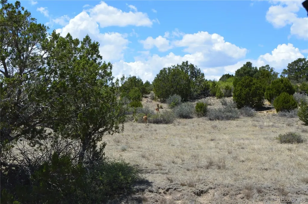 000 Claymine Road Rye CO 81069