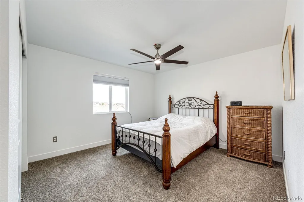6579 Steuben Way Castle Rock CO 80108