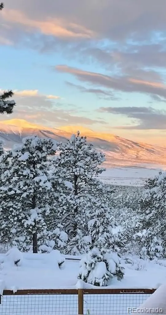 2613 Pheasant Loop Westcliffe CO 81252