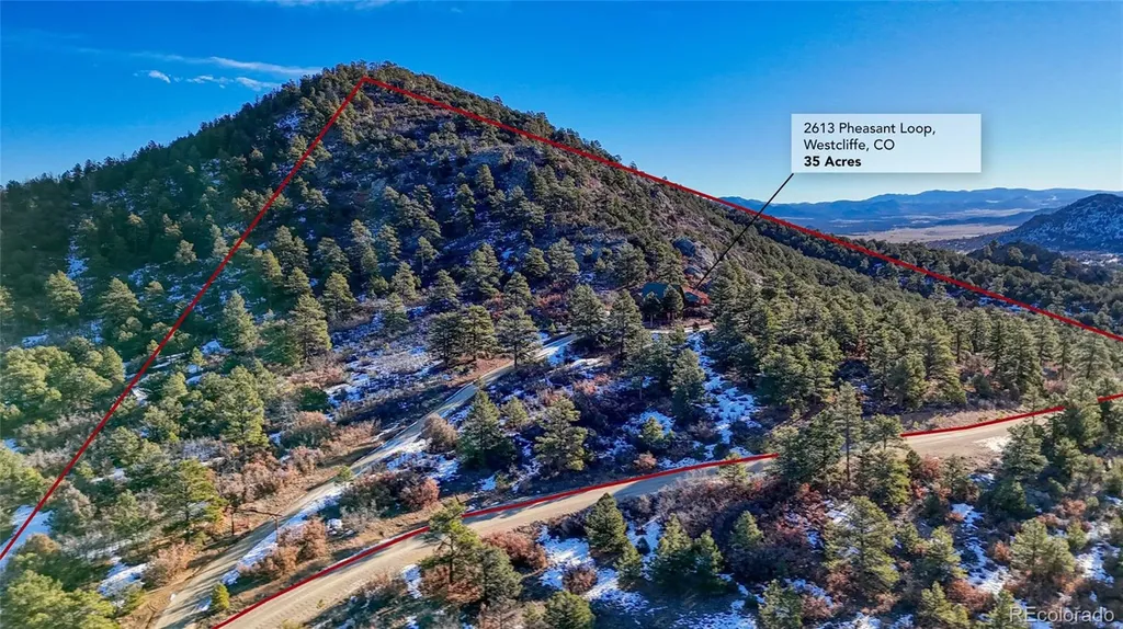 2613 Pheasant Loop Westcliffe CO 81252
