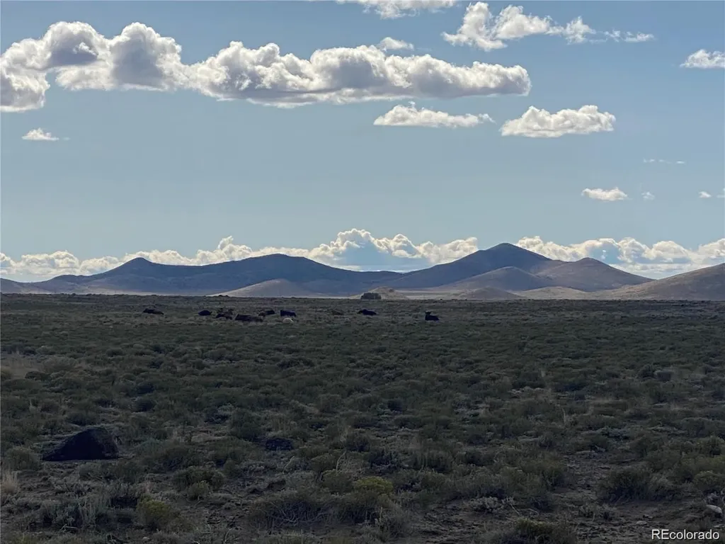 Lot 11 9th Street Blanca CO 81123