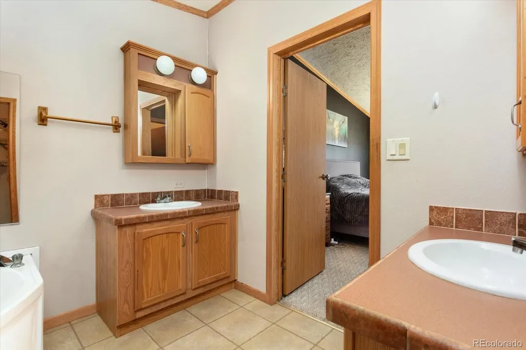 26388 Bassam Circle Buena Vista CO 81211