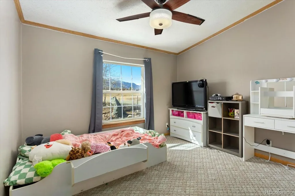 26388 Bassam Circle Buena Vista CO 81211
