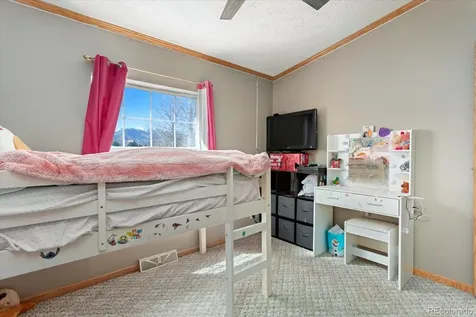 26388 Bassam Circle Buena Vista CO 81211
