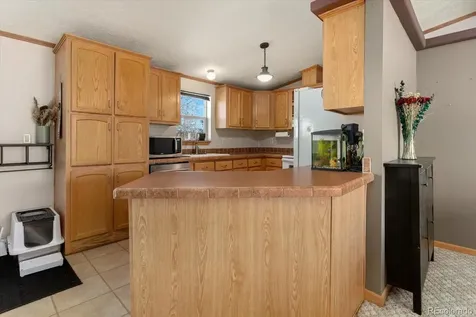 26388 Bassam Circle Buena Vista CO 81211