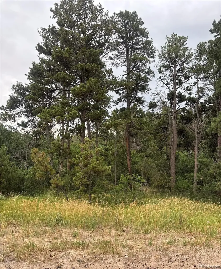 1455 Blueberry Hills Road Monument CO 80132