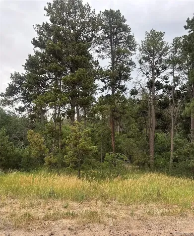 1455 Blueberry Hills Road Monument CO 80132