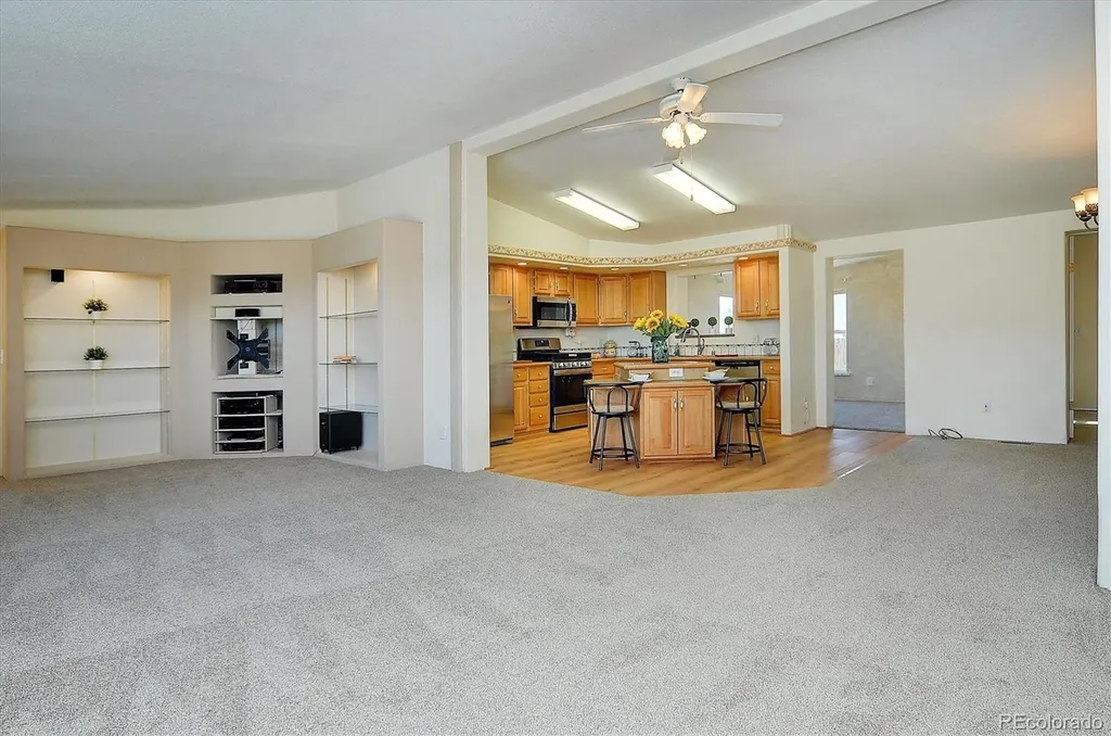 16370 County Road 356-12 Buena Vista CO 81211