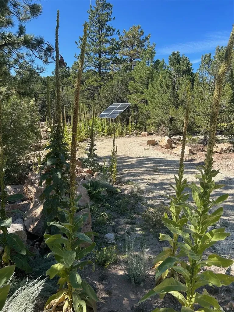 1380&1410 Oak Drive Westcliffe CO 81252