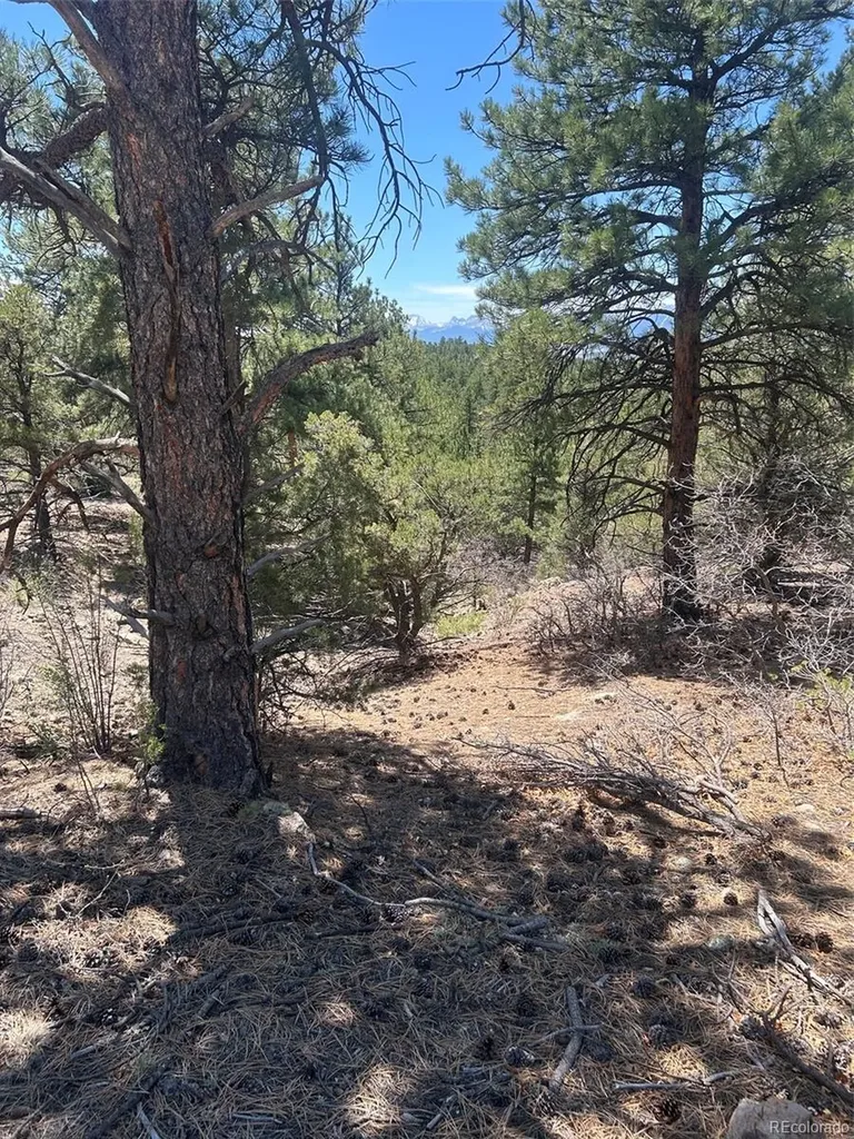 1380&1410 Oak Drive Westcliffe CO 81252