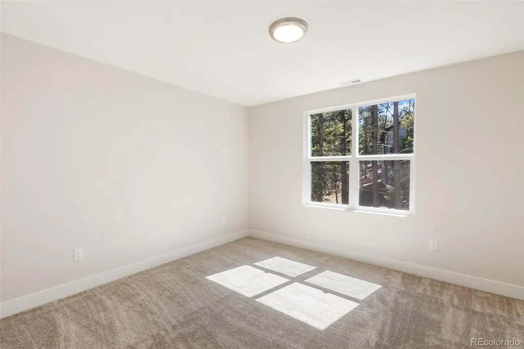 671 Bradford Drive Woodland Park CO 80863