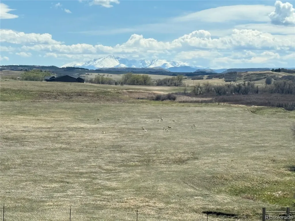 4166 S Castlewood Canyon Road Castle Rock CO 80104