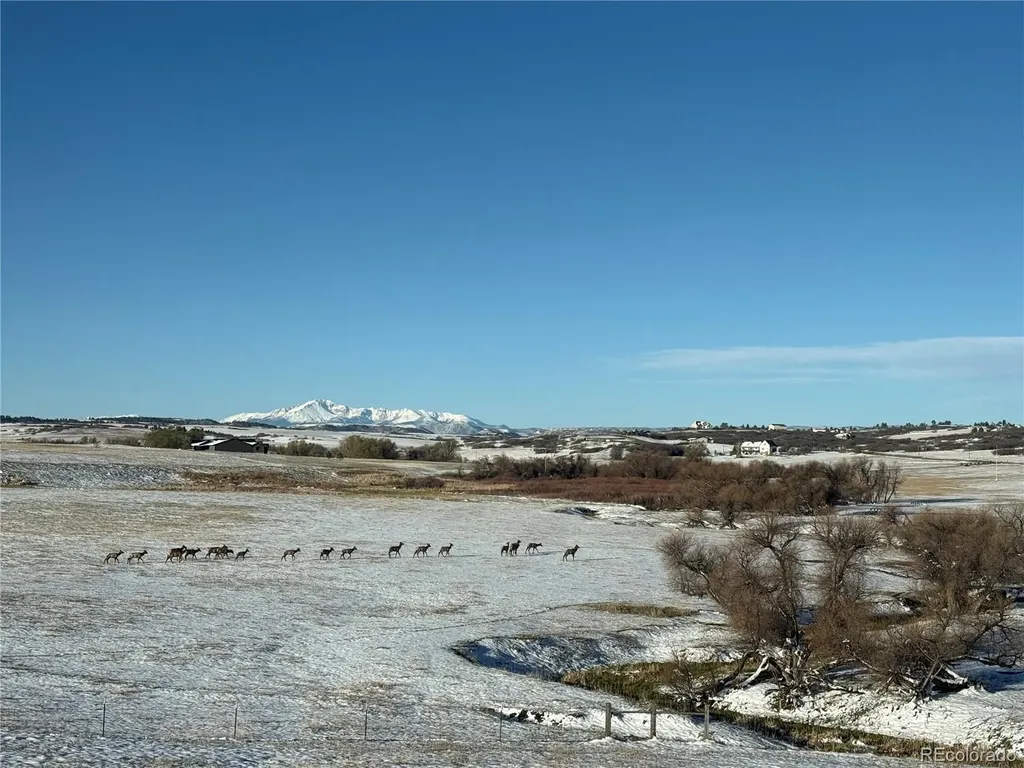 4166 S Castlewood Canyon Road Castle Rock CO 80104
