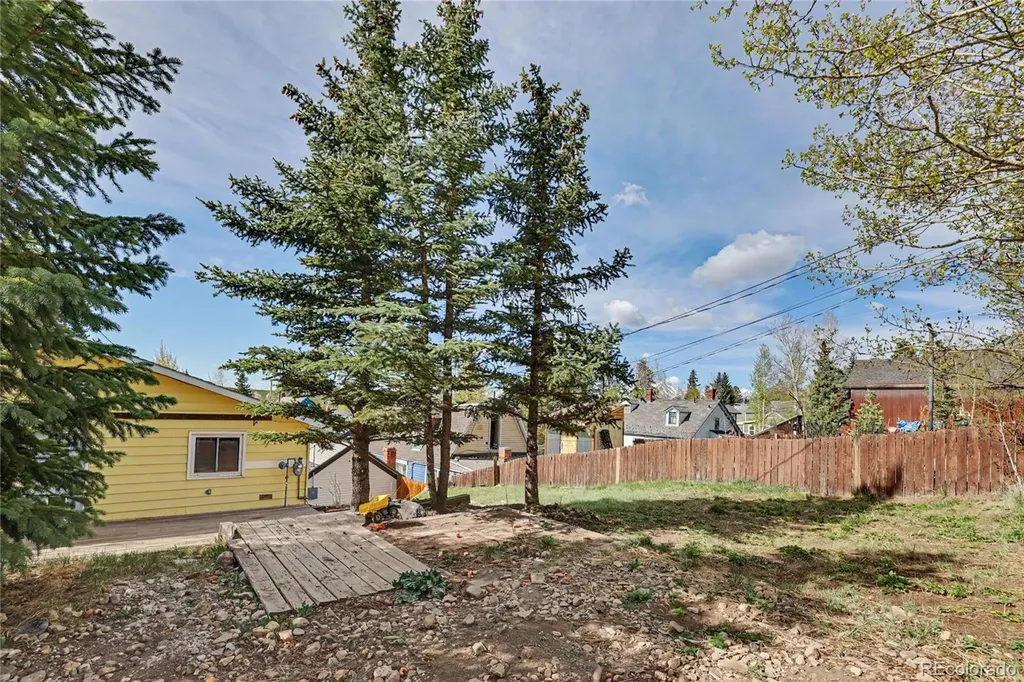 134 W 8th Street Leadville CO 80461