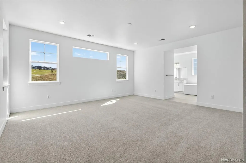 3438 Backdrop Court Castle Rock CO 80108