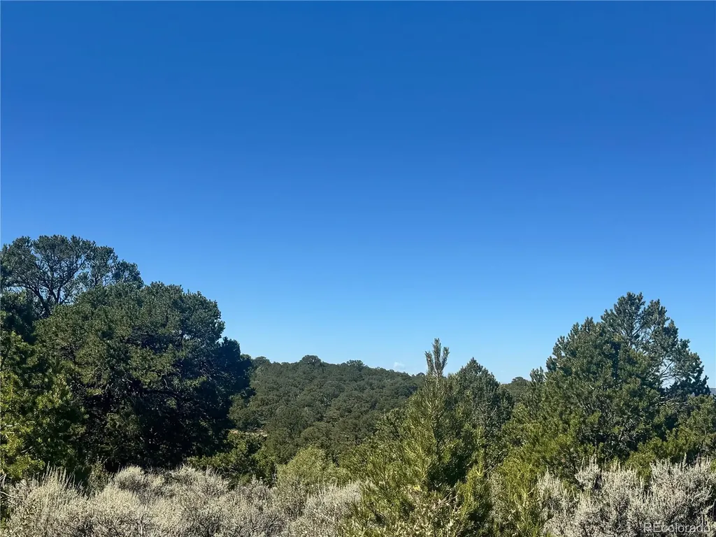 Lot 7878 Stone Road Fort Garland CO 81133